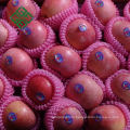 china supplier of fresh hanfu apple delicious hanfu apples